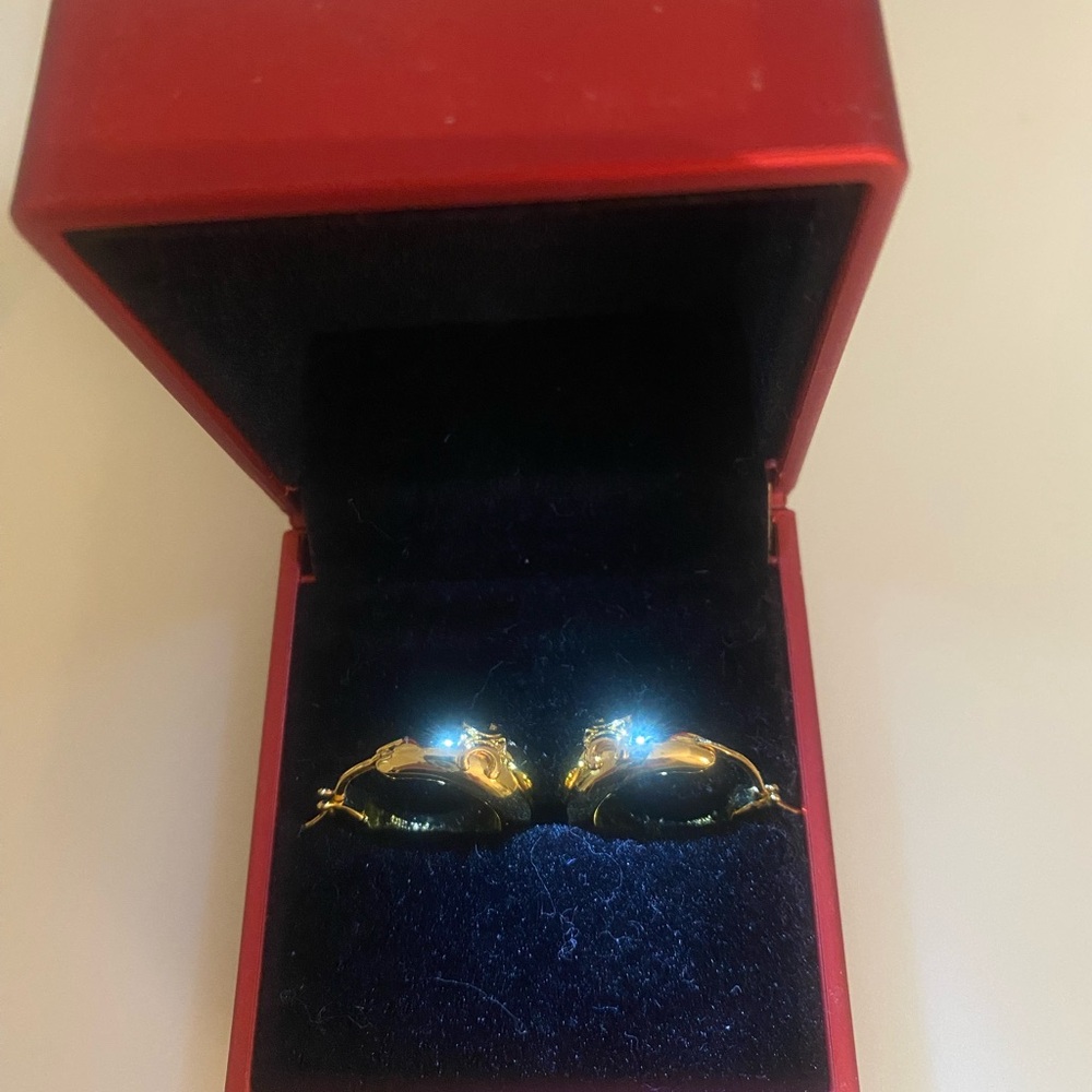 18K gold plated hoop earrings. Very shiny.